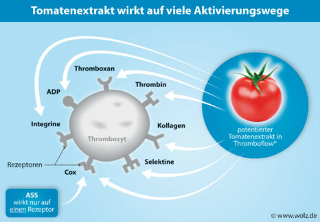 Tomatenwirkstoff schließt MedikamentenlückeNatürlicher Pflanzenextrakt ergänzt Schutzwirkung von ASS und Gerinnungshemmern