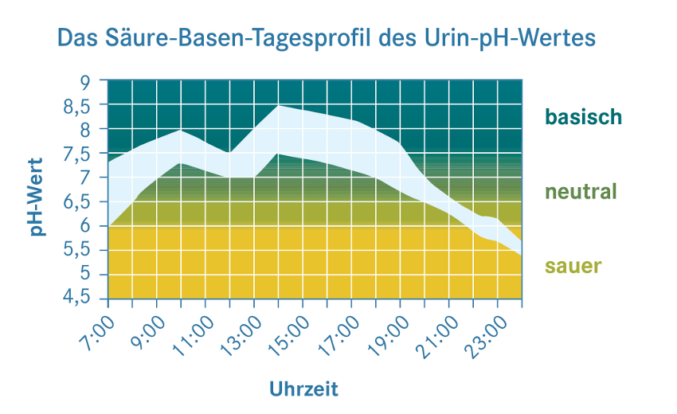 Jetzt testen: Bin ich übersäuert?Große Selbsttestkampagne startet in bundesdeutschen Apotheken