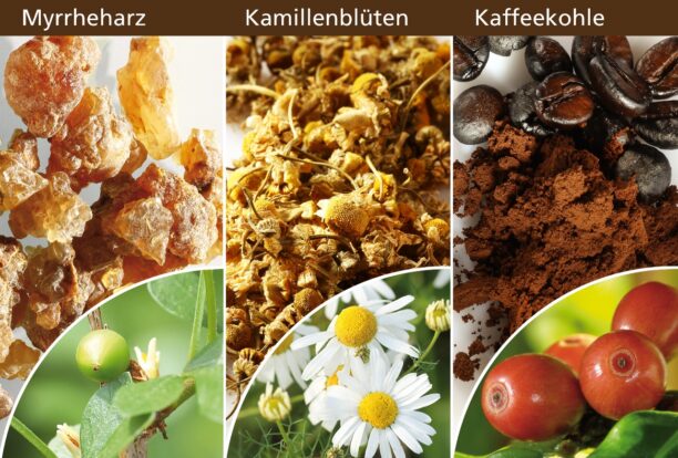 Phytotherapeutikum Myrrhinil-Intest® verringertpro-inflammatorische Prozesse in Makrophagen