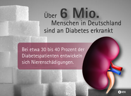 Damit Diabetes nicht an die Nieren geht