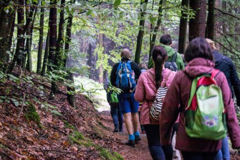 Neue Wanderstudie: Ist Wandern gesund? Teilnehmer gesucht