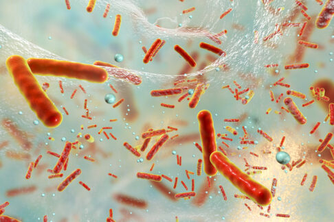 Antibiotikaforschung: Kontinuierlicher Kampf gegen Resistenzen