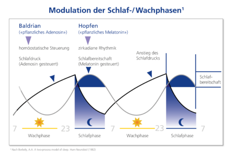 Evidenzbasierte Phytotherapie – eine natürliche Alternative für alle Patienten