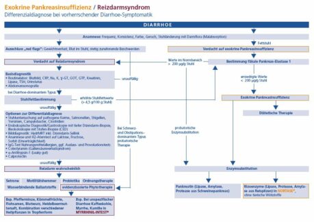 Umfassende Differentialdiagnose bei wiederkehrender Diarrhoe erforderlich