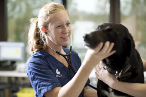 FOCUS Ärzteliste: 30 „TOP-Tierkliniken“ und „TOP-Tierarztpraxen“ von AniCura in ganz Deutschland ausgezeichnet