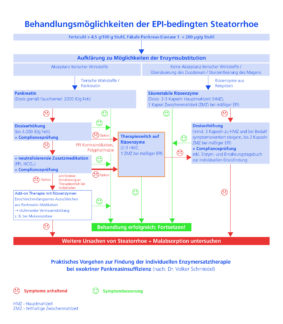 Algorithmus zeigt praktisches Vorgehen für erfolgreiche Enzymersatztherapie