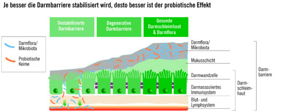 Reizdarm-Patienten fühlen sich oft alleingelassen – gemeinsam individuell passende Therapie entwickeln