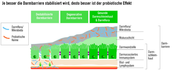 Reizdarm-Patienten fühlen sich oft alleingelassen – gemeinsam individuell passende Therapie entwickeln