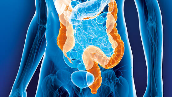 Darmkrebsmonat März: Gesunder Lebensstil kann schützenDeutsche Krebshilfe informiert zur Prävention und Früherkennung