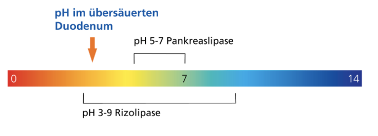 Praxiswissen zur Enzymsubstitution bei exokriner PankreasinsuffizienzWenn die Dosissteigerung zur Symptomreduktion nicht ausreicht – Strategien für den Behandlungserfolg