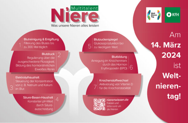Weltnierentag 2024Mehr Aufmerksamkeit für Multitalent Niere
