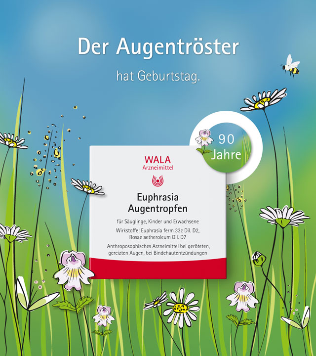 Illustration mit Blumenwiese, Bienen und Packung, eine Packung WALA Euphrasia Augentropfen im Vordergrund. Text: „Der Augentröster hat Geburtstag – 90 Jahre“. Darstellung feiert das Jubiläum des anthroposophischen Arzneimittels.