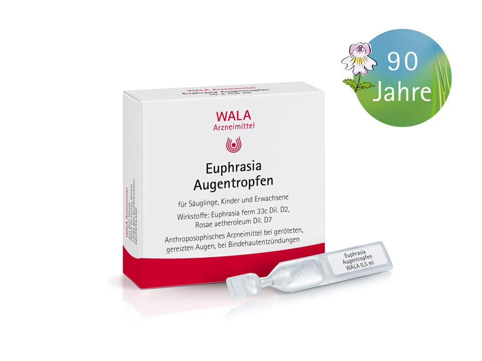 Packung WALA Euphrasia Augentropfen für Säuglinge, Kinder und Erwachsene. Sichtbar sind Verpackung, Einzeldosisbehälter und Logo „90 Jahre“ mit Augentrost-Blüte. Anthroposophisches Arzneimittel bei geröteten, gereizten Augen bei Bindehautentzündung.