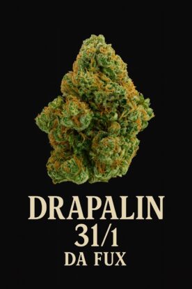 „Drapalin 31/1 Da Fux“ – die neue medizinische Cannabisblüte: kanadische Premiumqualität mit außergewöhnlichem Terpenprofil
