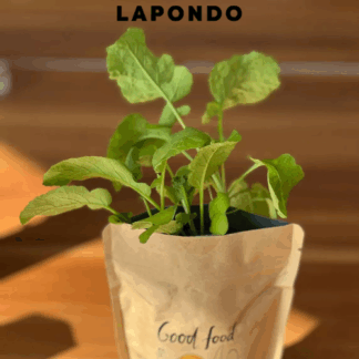 LAPONDO präsentiert Junger Spross: Nachhaltige Anzuchtbeutel für die grüne Auszeit