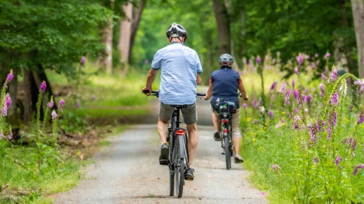 Mit dem Fahrrad in den Urlaub: Worauf es wirklich ankommt – von der Planung bis zum Versicherungsschutz